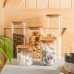 680ml Square Glass Storage Jar with Wooden Lid - By Argon Tableware